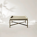 Malone Coffee Table Modern Steel Base With Embossed Leather Shagreen Top