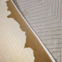 Chaoyang Soft Abstract Sand Tone Area Rug