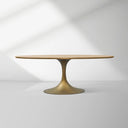Aero Wood Oval Dining Table