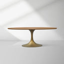 Aero Wood Oval Dining Table