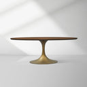 Aero Wood Oval Dining Table