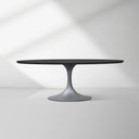 Aero Wood Oval Dining Table