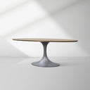 Aero Wood Oval Dining Table