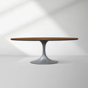 Aero Wood Oval Dining Table
