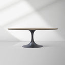 Aero Wood Oval Dining Table