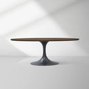 Aero Wood Oval Dining Table