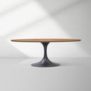 Aero Wood Oval Dining Table
