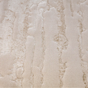 Shanluan Soft Veiled Texture Neutral Area Rug